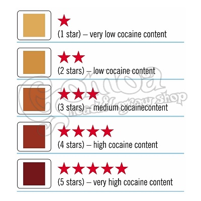 M.M.C. Cocaine Purity Test 10 db 2